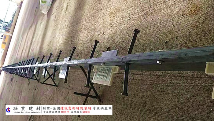 广安市铠甲缝施工案例
