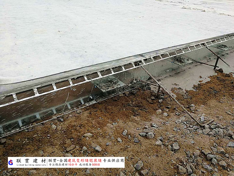 广安市铠装缝案例
